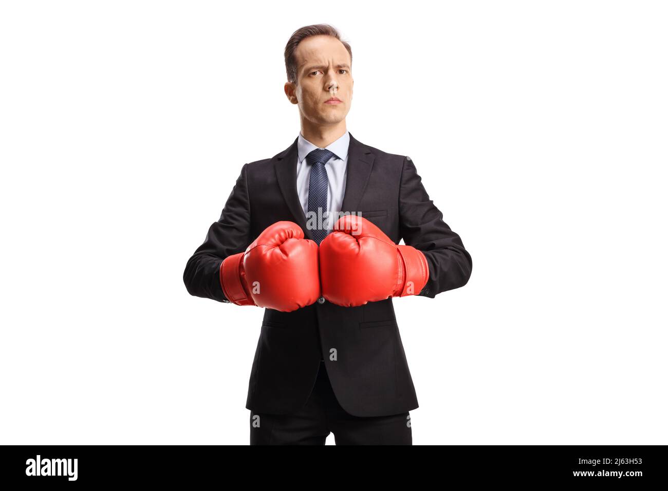 Seriöse Geschäftsleute tragen Boxhandschuhe isoliert auf weißem Hintergrund Stockfoto