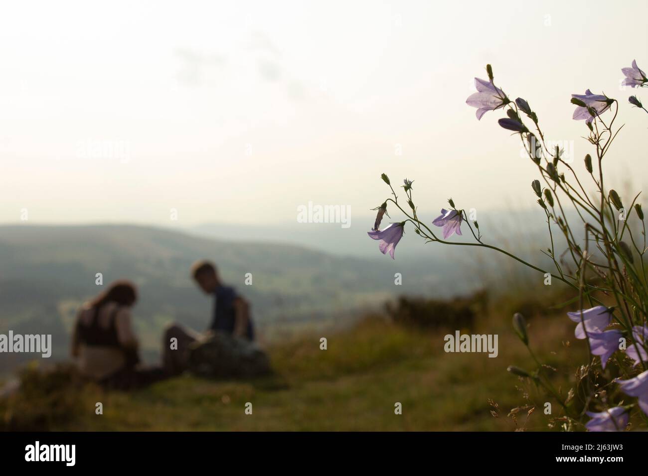 Romantische Momente Stockfoto