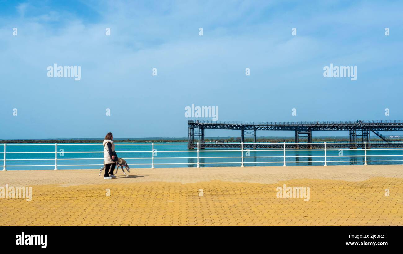 Ältere Frau, die an einem sonnigen Tag mit einem Windhund an der Promenade des Flusses Odiel in Huelva entlang läuft. Stockfoto