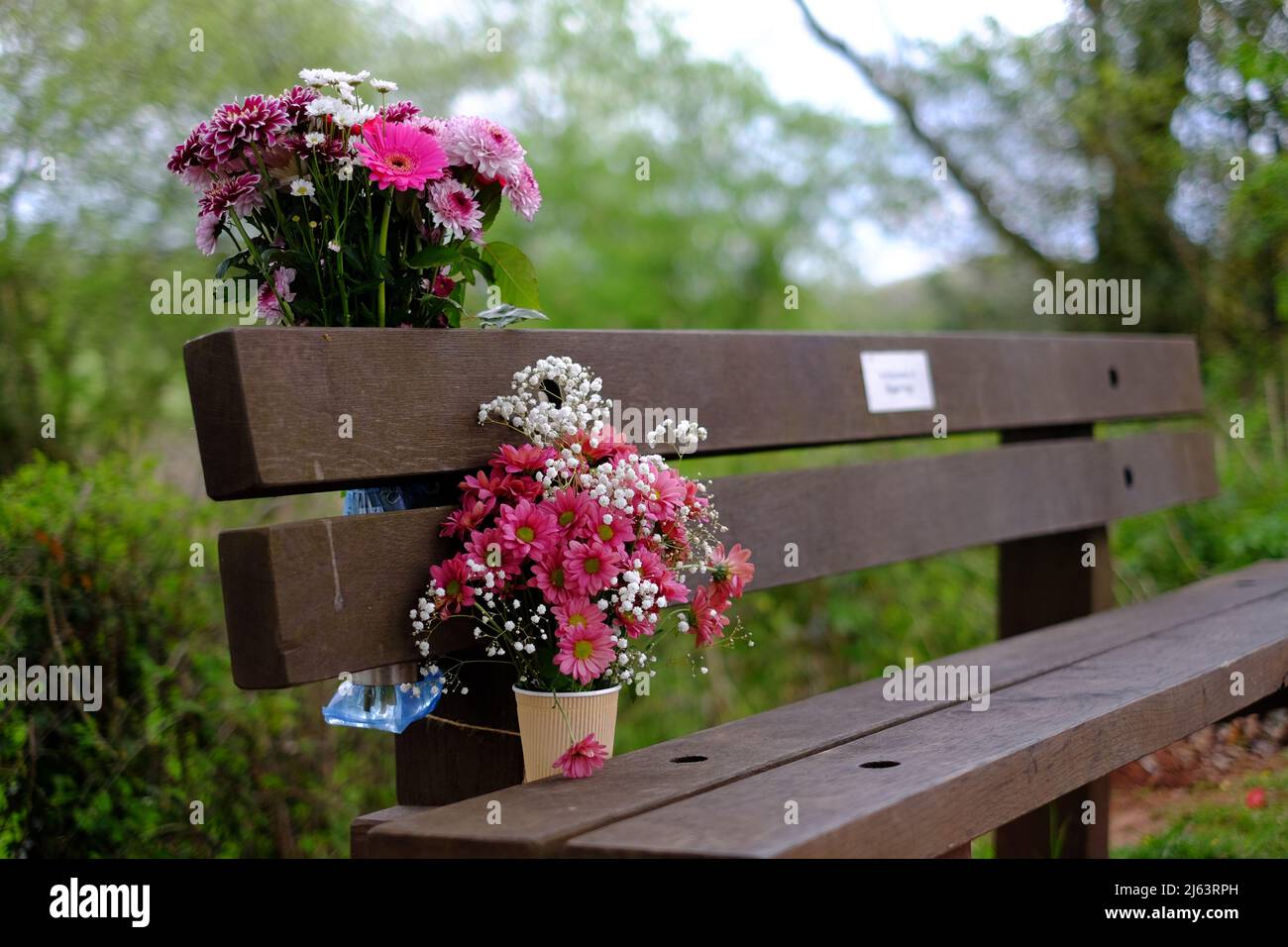 Blumen, die in Erinnerung an einen geliebten Menschen auf einer Bank zurückgelassen wurden. Stockfoto