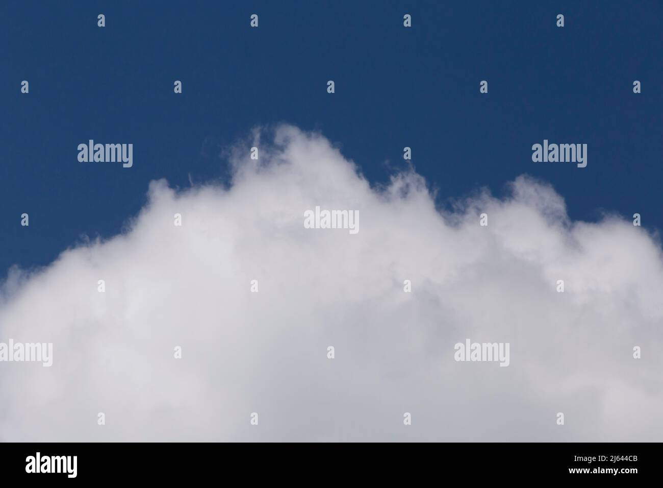 Nahaufnahme der weißen, flauschigen Wolke am blauen Himmel Stockfoto