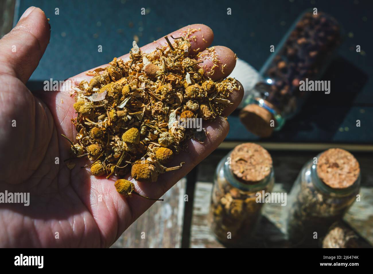 Eine Hand voll getrockneter Kamille in den Glasflaschen im Hintergrund, gefüllt mit getrockneten Kräutern Stockfoto
