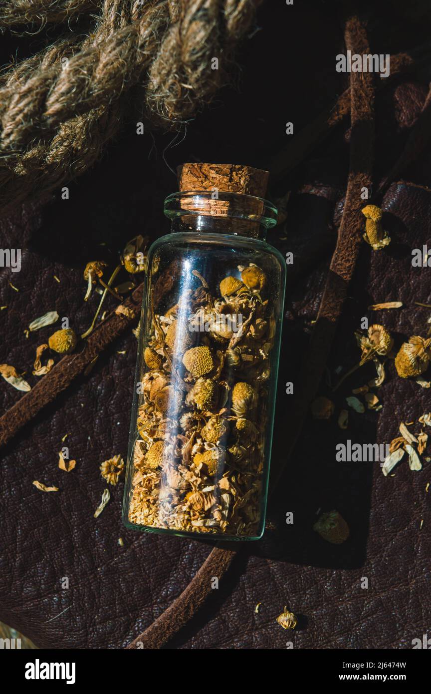Nahaufnahme einer Glasflasche mit getrockneter Kamille im Sonnenlicht Stockfoto