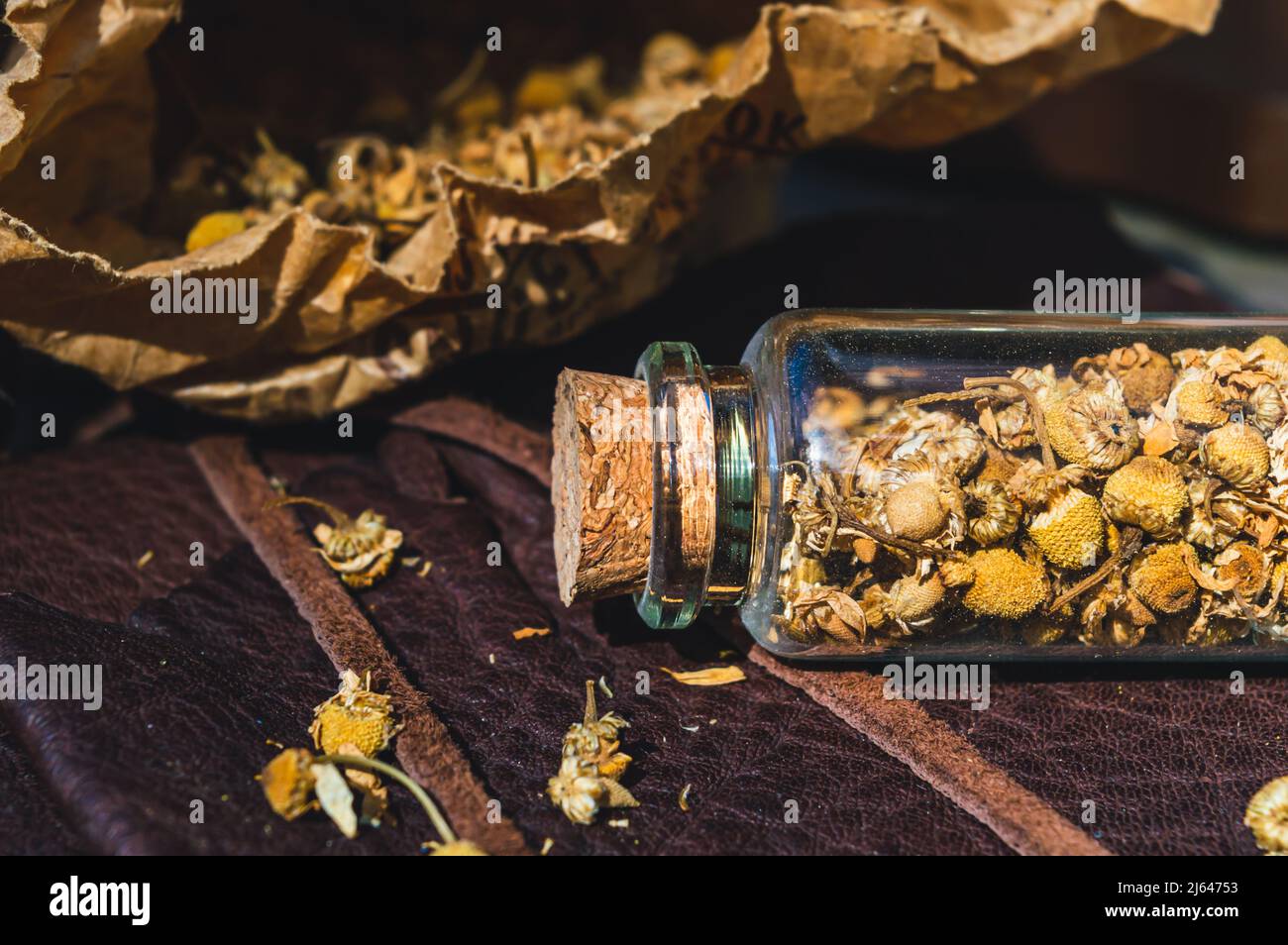 Nahaufnahme einer Glasflasche mit getrockneter Kamille im Sonnenlicht Stockfoto