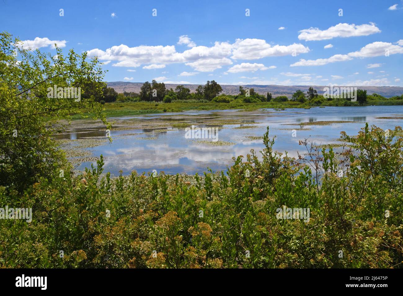 Nördliche Galiläische Landschaft, Israel Stockfoto