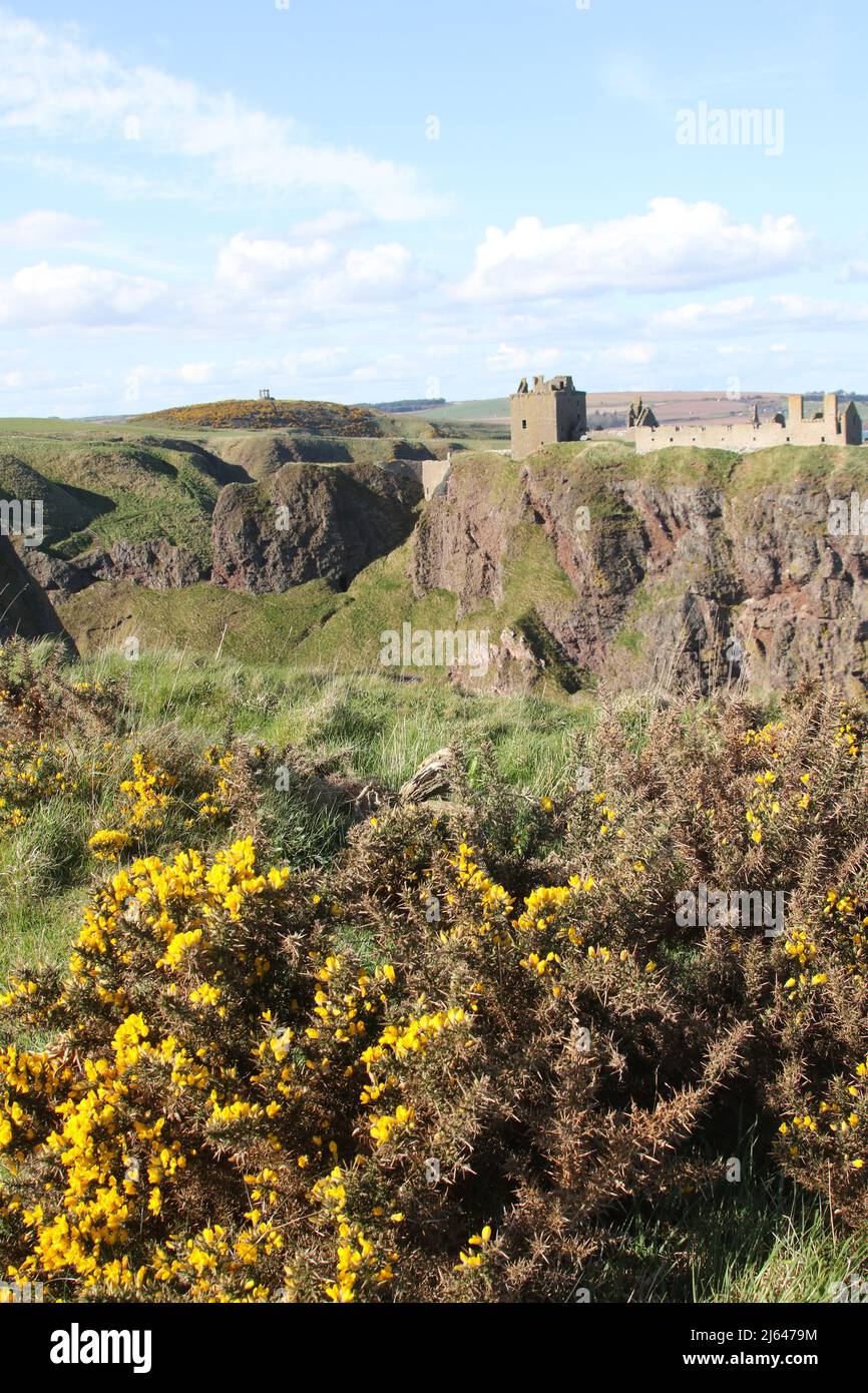 Dunnottar Castle,Stonehaven, Aberdeenshire, Schottland, Vereinigtes Königreich. Eine zerstörte mittelalterliche Festung auf einer felsigen Landzunge an der Nordostküste Schottlands, etwa 2 Meilen südlich von Stonehaven. Die erhaltenen Gebäude stammen größtenteils aus dem 15.. Und 16.. Jahrhundert, aber es wird angenommen, dass die Stätte im frühen Mittelalter befestigt wurde. Auf einem 160 Meter hohen Felsen gelegen und auf drei Seiten von der Nordsee umgeben, waren diese dramatischen und eindrucksvollen Ruinen auf einer Klippe einst eine uneinnehmbare Festung des Earls Marischal, einst eine der mächtigsten Familien Schottlands. Stockfoto