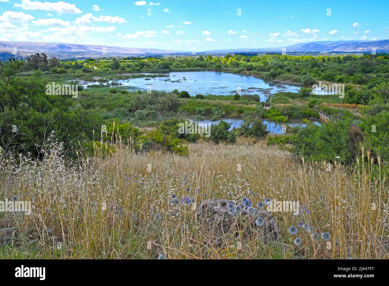Nördliche Galiläische Landschaft, Israel Stockfoto