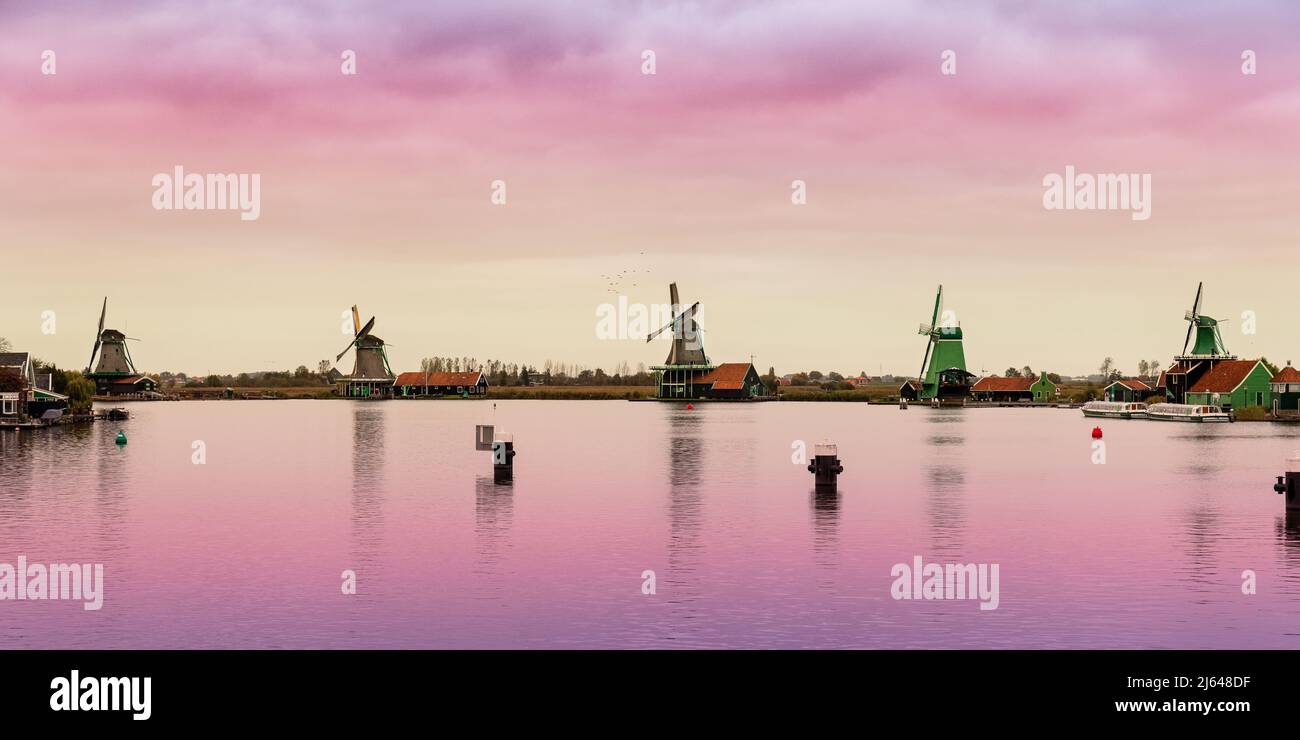 Panorama der niederländischen Windmühlen bei Sonnenaufgang in Zaanse Schans, Niederlande Stockfoto