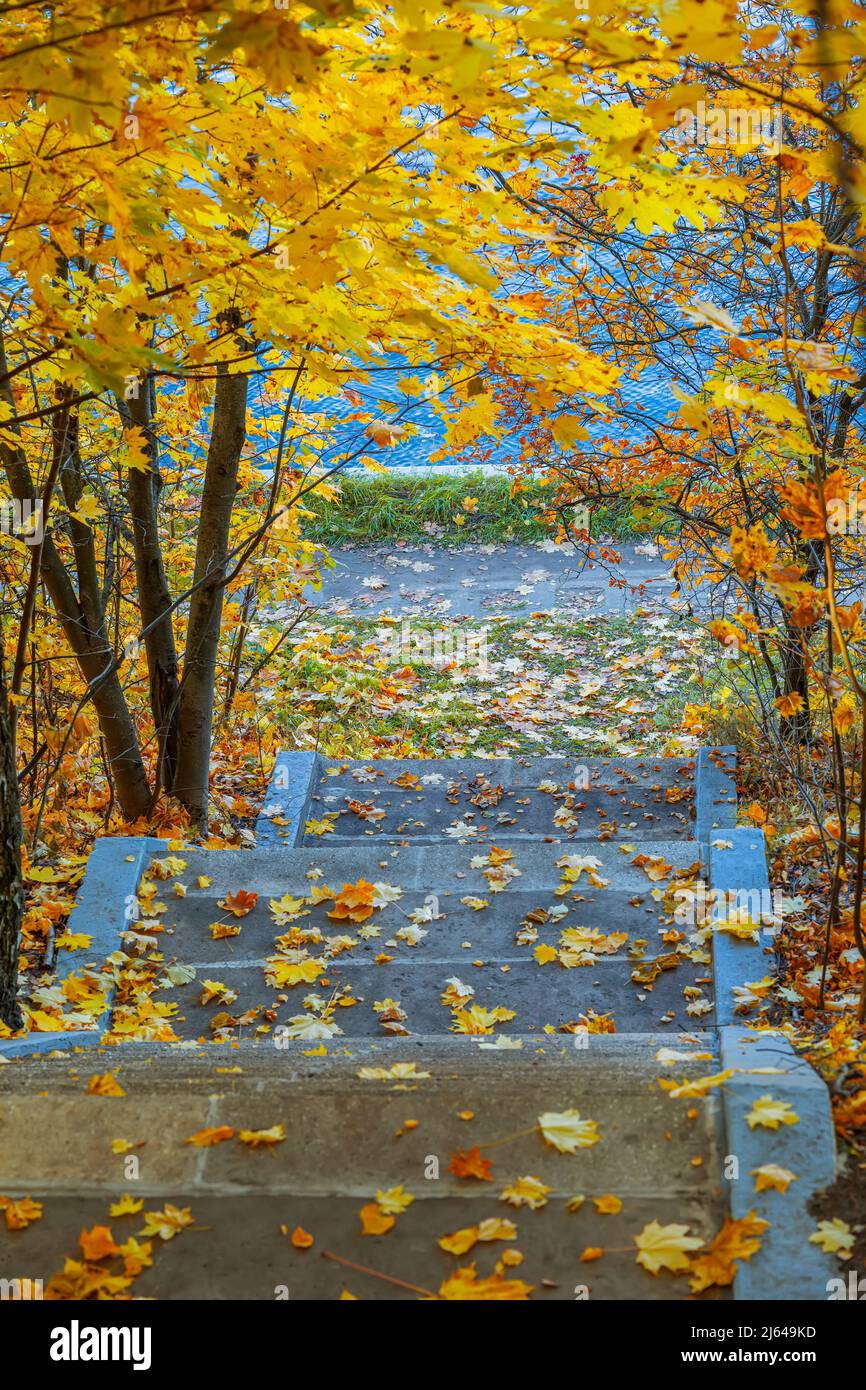 Goldene Blätter überdachte Stufen der Park Treppe, Steintreppe am Fluss. Herbstblatt Herbst Stockfoto