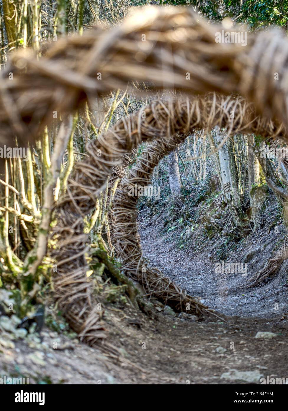 Il Sentiero dei Savanot Stockfoto