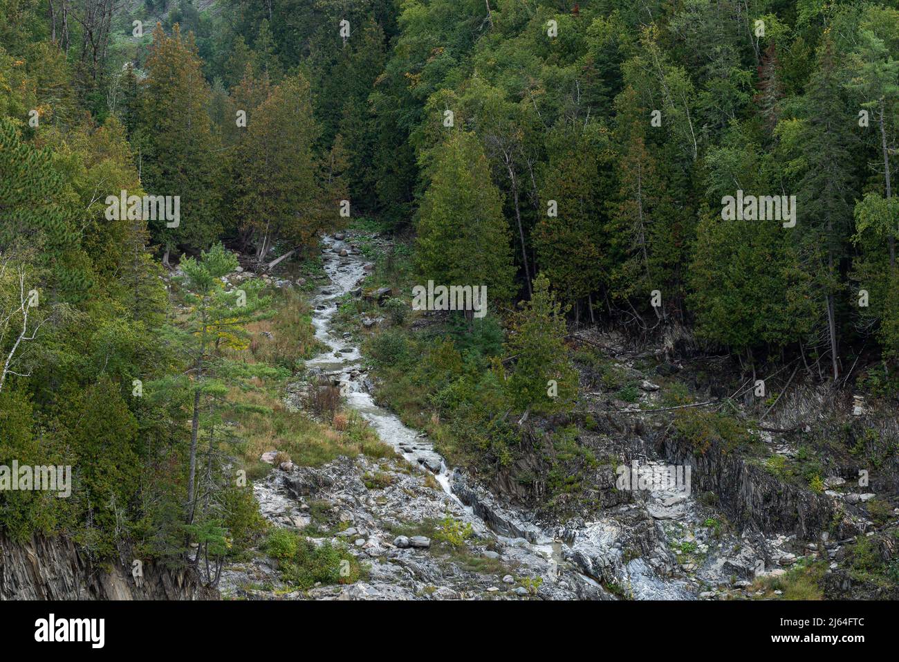 Canyon des St John River bei Grand Falls, Nouveau-Brunswick, Kanada Stockfoto