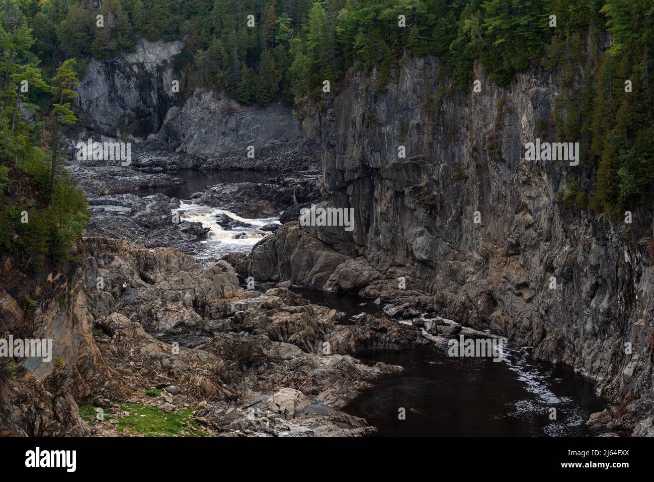 Canyon des St John River bei Grand Falls, Nouveau-Brunswick, Kanada Stockfoto