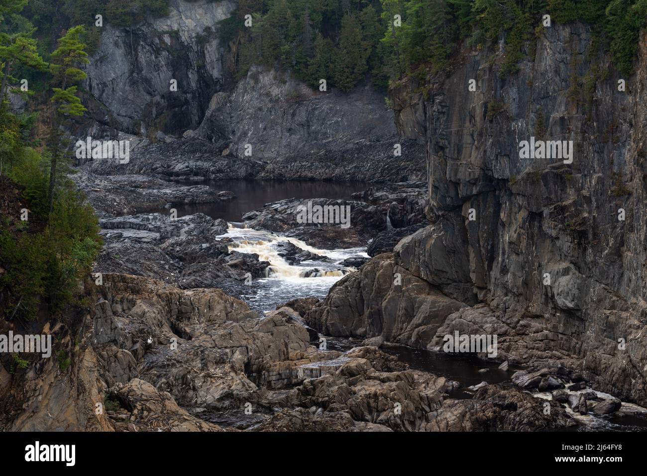 Canyon des St John River bei Grand Falls, Nouveau-Brunswick, Kanada Stockfoto