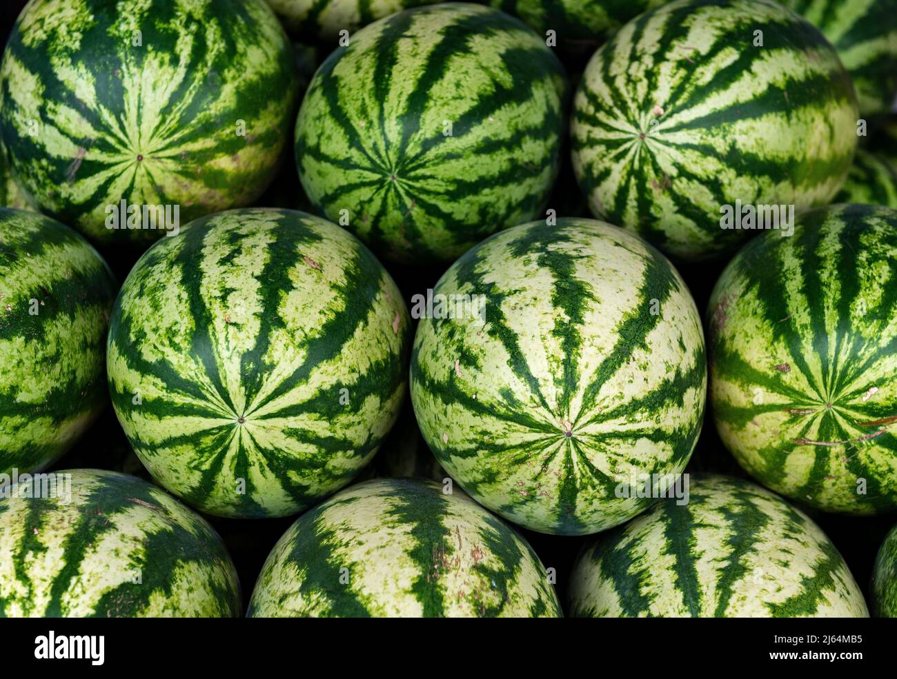 Muster eines Wassermelonenstapels auf dem Guayaquil-Obstmarkt, Ecuador. Stockfoto