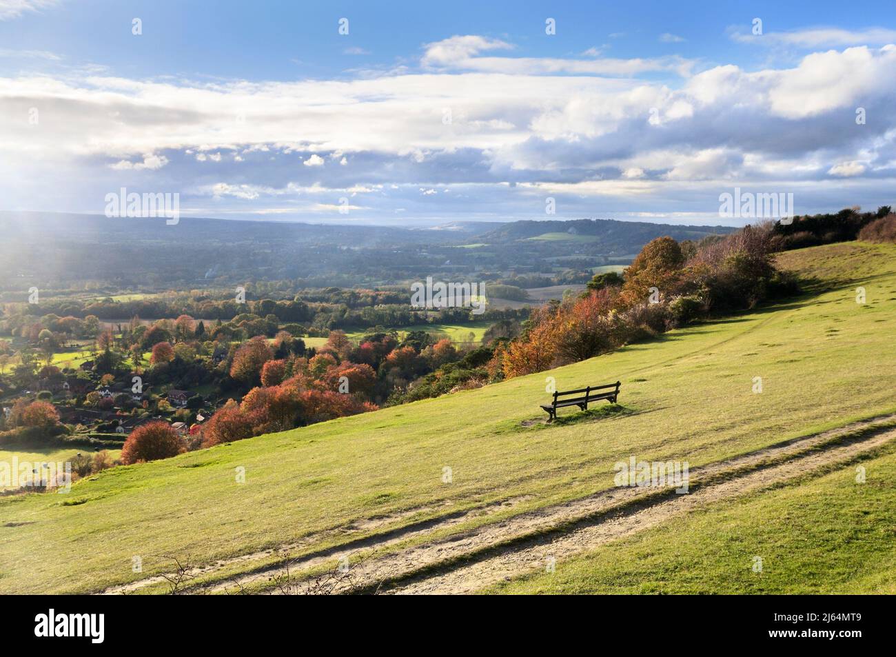 Einsitzige Bank auf den Grashängen von Colley Hill mit Blick auf die Landschaft der Surrey Hills bei Herbstsonne, Reigate, North Downs Way, Surrey, England, VEREINIGTES KÖNIGREICH Stockfoto