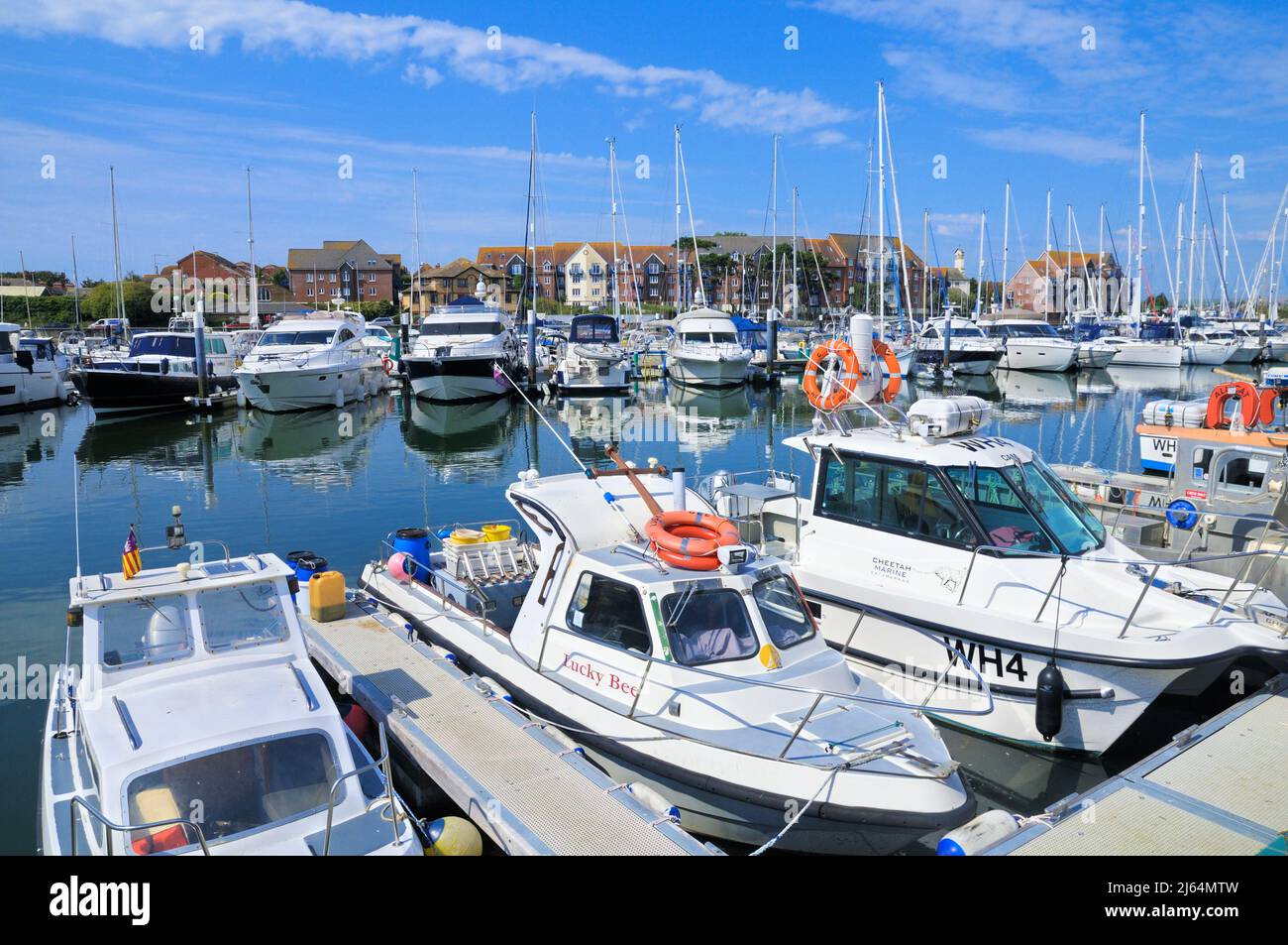 Boote in Weymouth Marina, einer modernen, zweckmäßig gebauten Marina mit über 280 festen und besuchenden Liegeplätzen im inneren Hafen von Weymouth, Dorset, England, Großbritannien Stockfoto