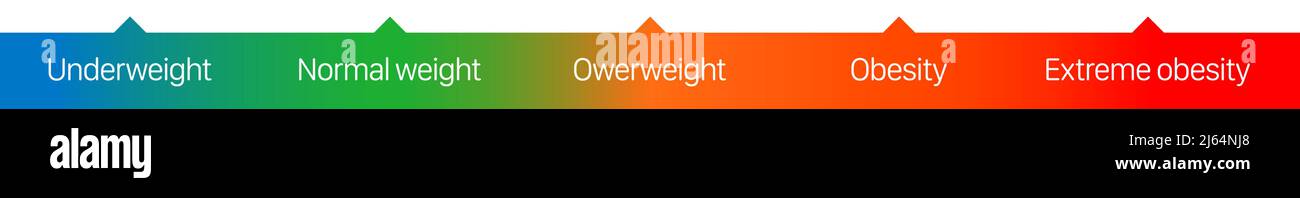 Indexbalken für die menschliche Körpermasse, Vektorgrafik. Stock Vektor