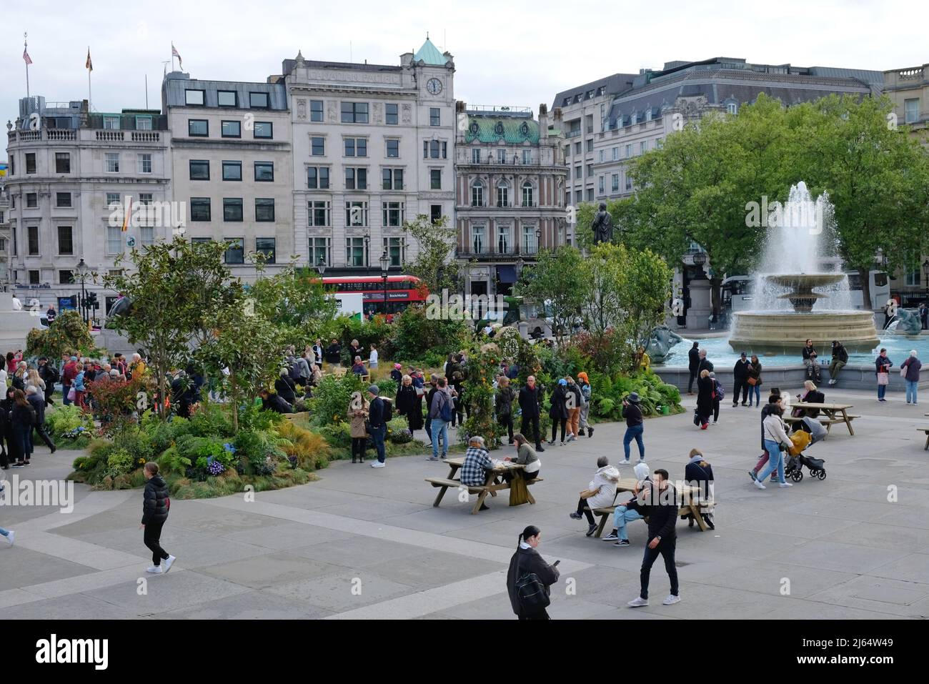 London, Großbritannien, 27.. April 2022. Der Trafalgar Square wurde in einen wilden Wiesengarten verwandelt, um die „Innocent Drinks Big Rewild“-Kampagne zu starten, mit der 2 Millionen Hektar Land erhalten werden sollen. Die temporäre Installation, die mit 6.000 Pflanzen und Bäumen gefüllt war, sollte auch die Vorteile des Wilderens für die Besucher hervorheben. Kredit: Elfte Stunde Fotografie/Alamy Live Nachrichten Stockfoto