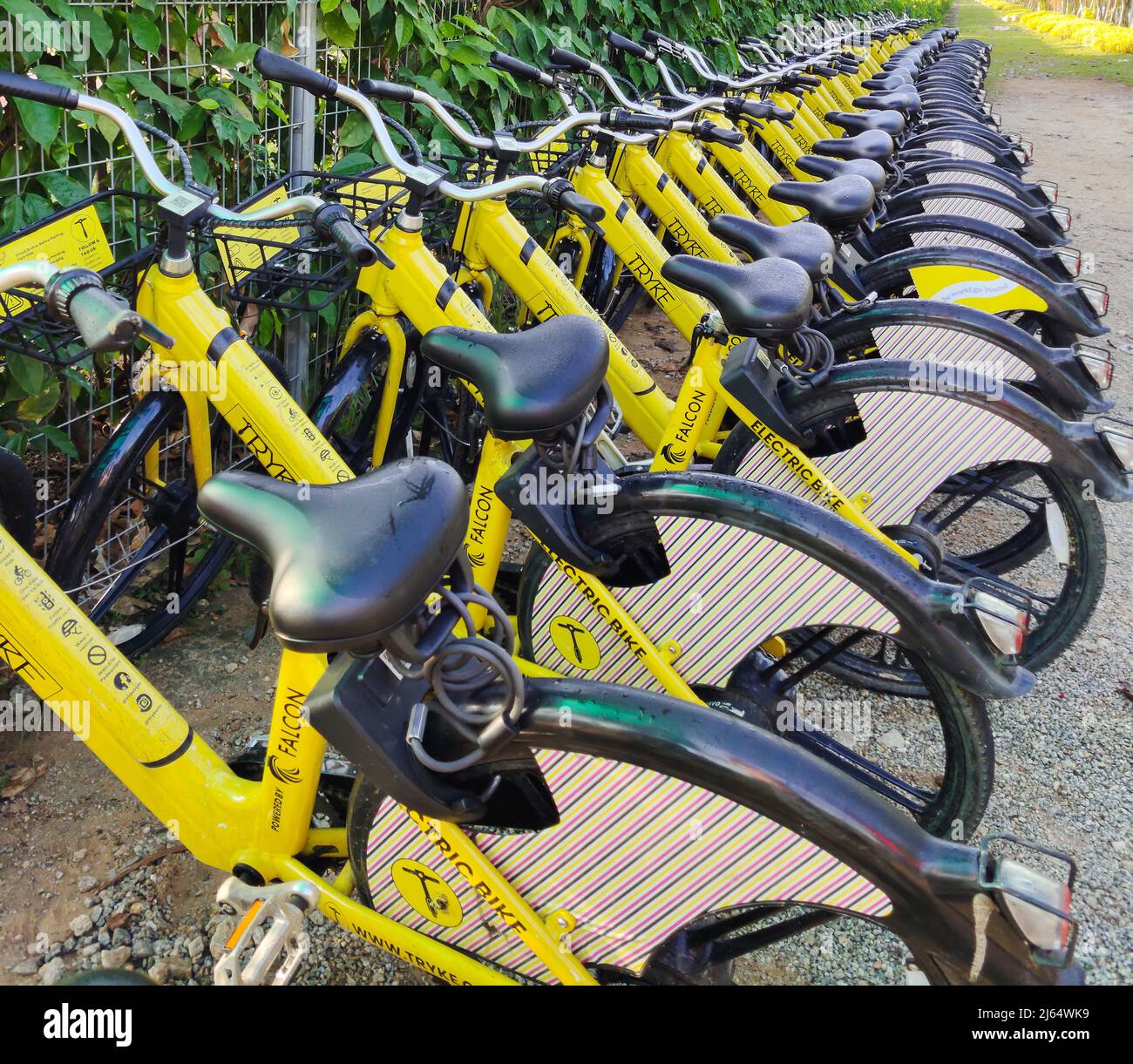Cyberjaya, Malaysia - 25. April 2022 : TRYKE Elektrofahrrad in der Parkzone zum Verleih am Perdana See, Cyberjaya Putrajaya. Stockfoto