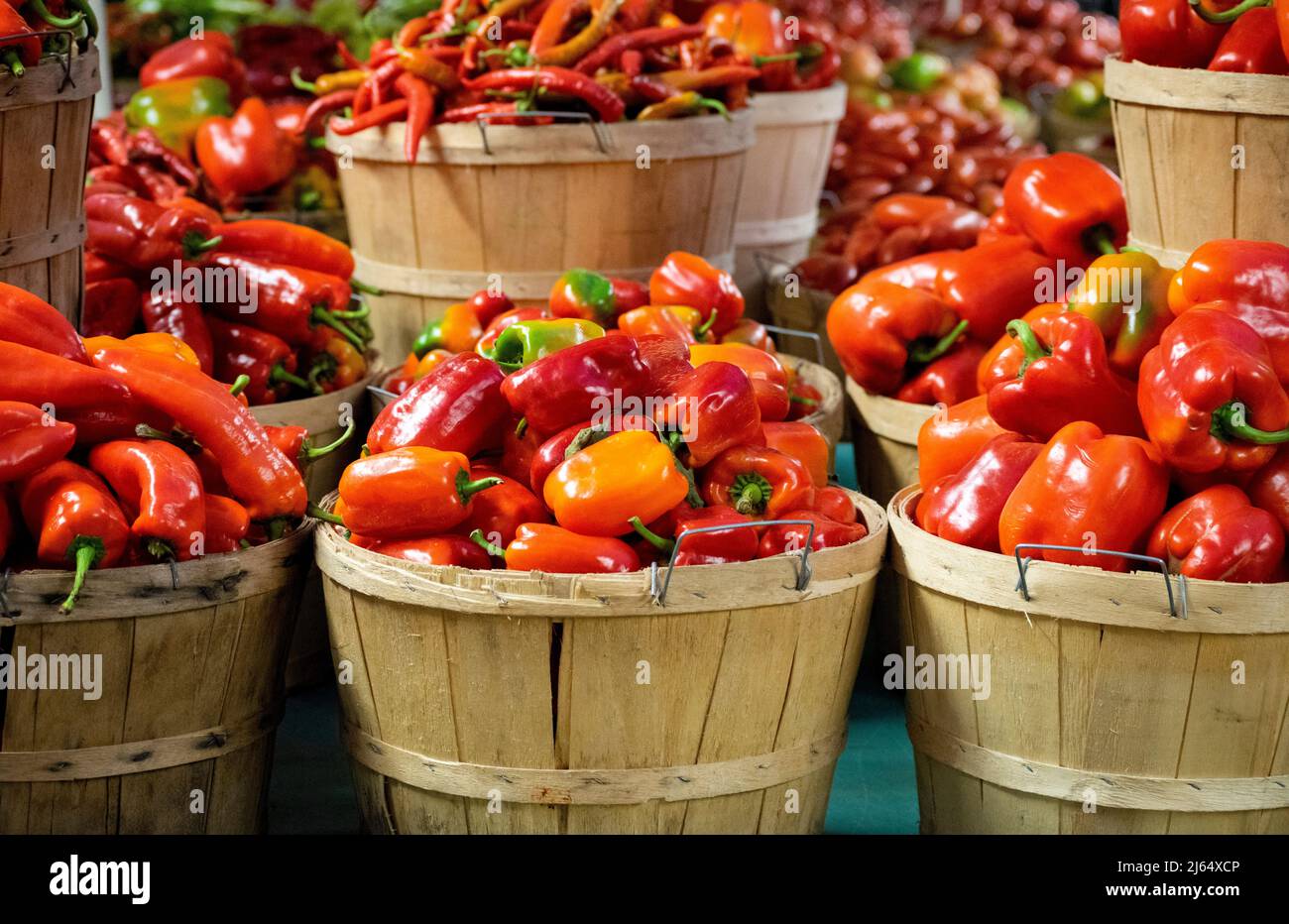 Körbe mit verschiedenen Paprika auf dem Bauernmarkt - Stock-Fotografie Stockfoto