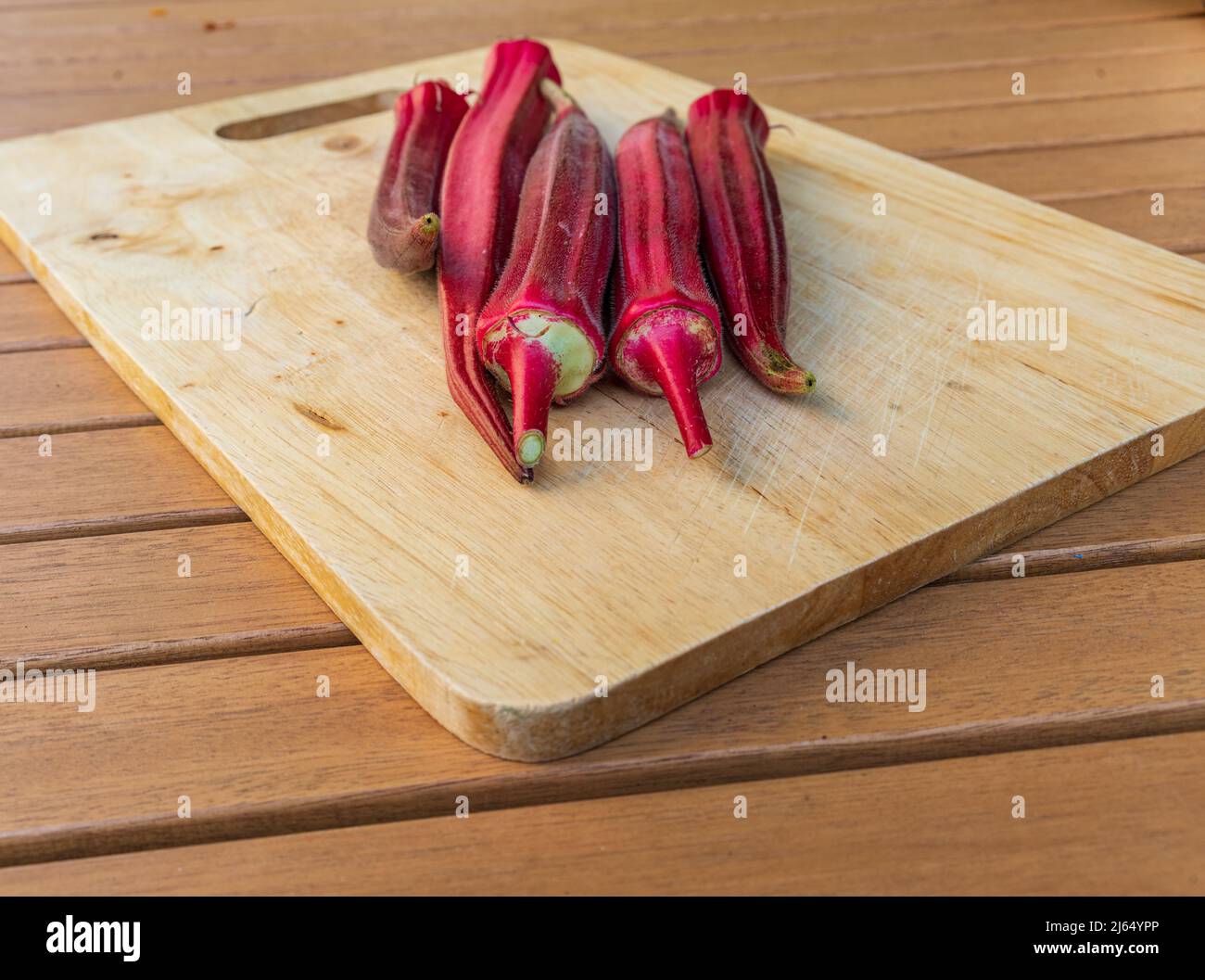 Frisch gepflückte Okra, eine Grundnahrungsmittel in der südlichen Küche wie Gumbo. Okra wächst in den USA gut. Die rosafarbenen essbaren Samenschoten sind Jing orange okra. Stockfoto