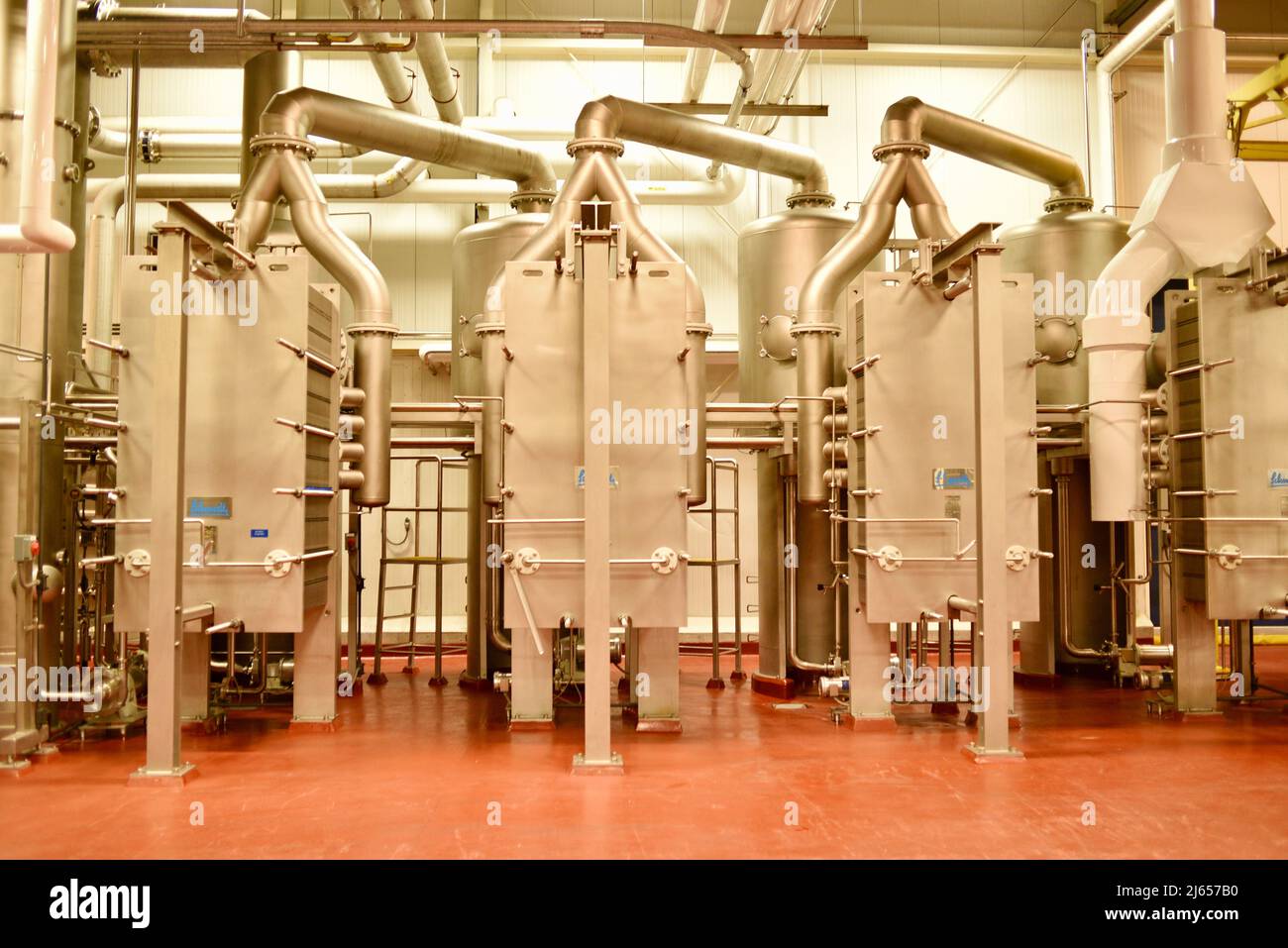 Verarbeitung von Preiselbeeren in der modernen und hochmodernen Ocean Spray-Anlage in Wisconsin Rapids, Wisconsin, USA Stockfoto