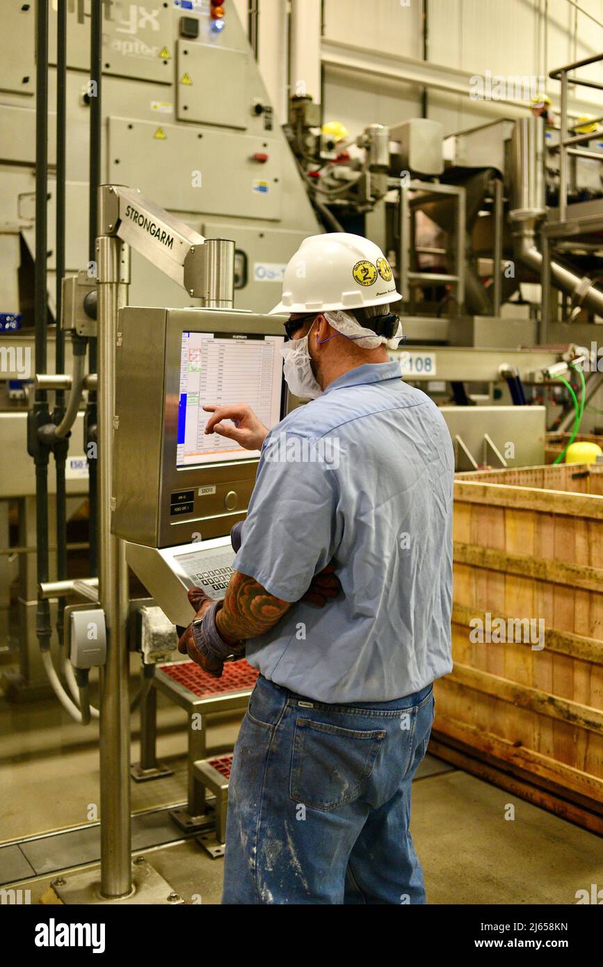 Verarbeitung von Preiselbeeren in der modernen und hochmodernen Ocean Spray-Anlage in Wisconsin Rapids, Wisconsin, USA Stockfoto