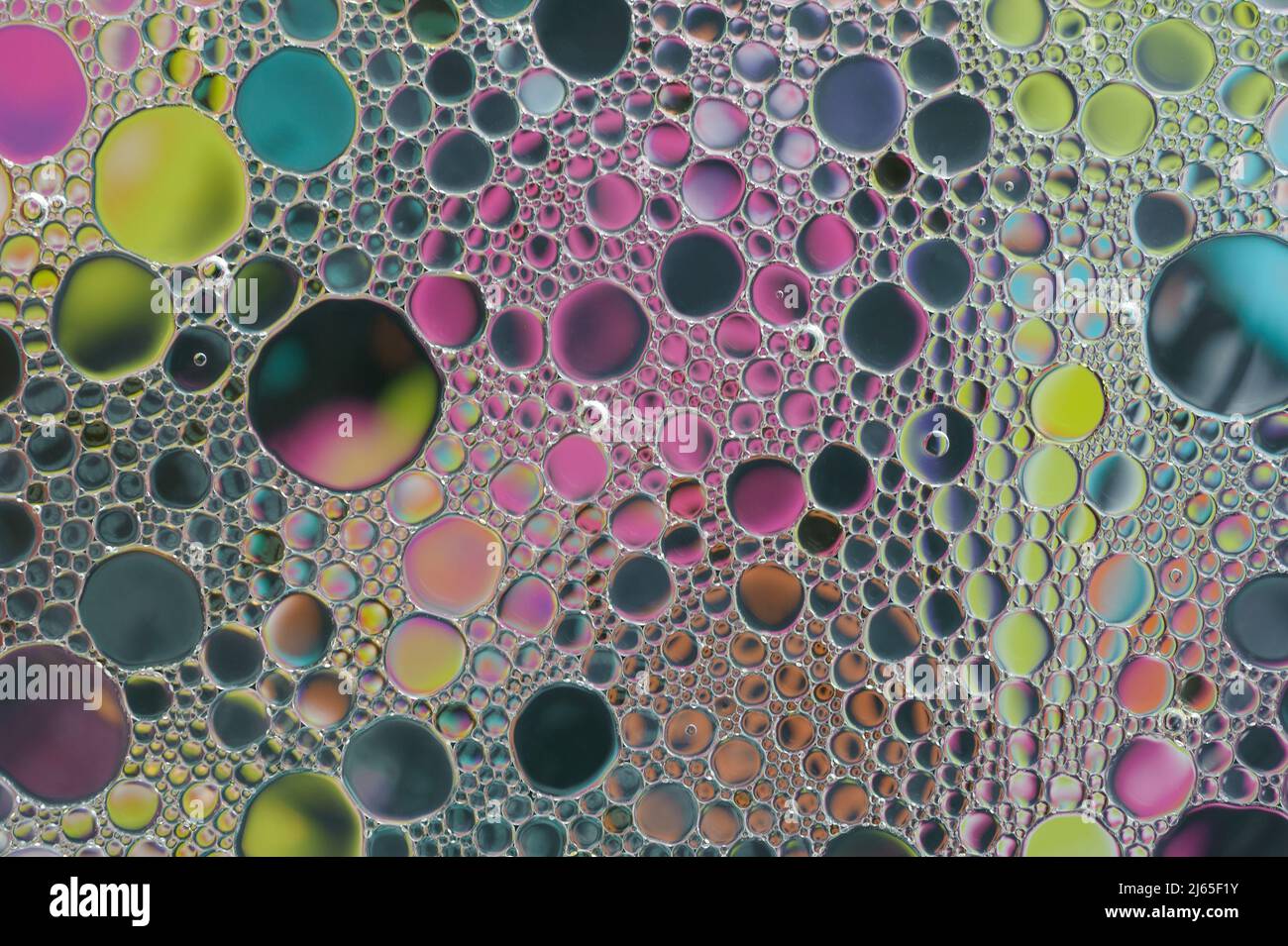 Makro- oder Nahaufnahme eines Studiobildes von bunten Seifenblasen im Wasser Stockfoto