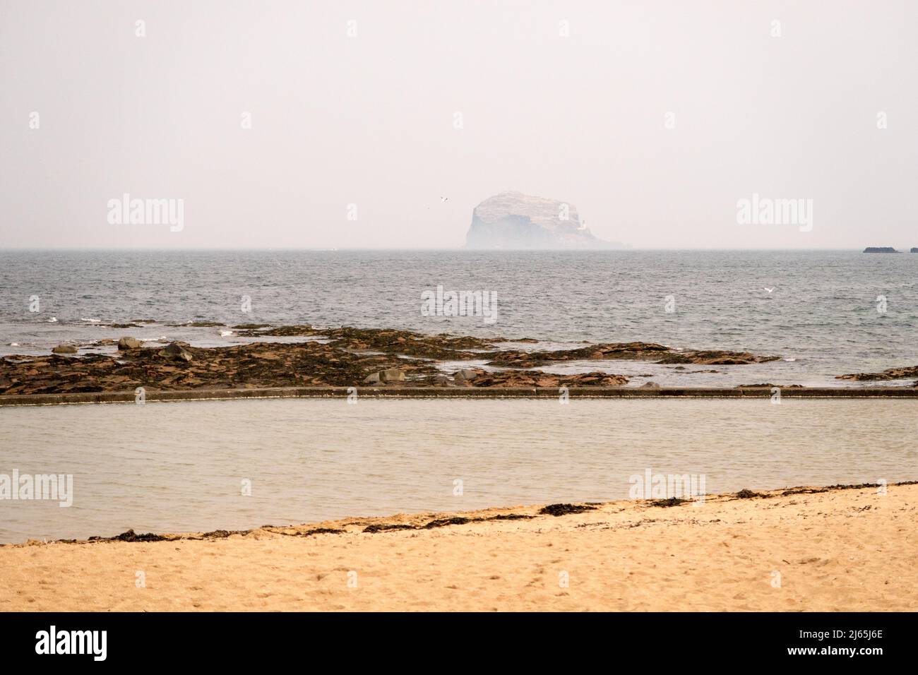 Ein Blick auf Bass Rock Island vor North Berwick, Schottland, Großbritannien Stockfoto