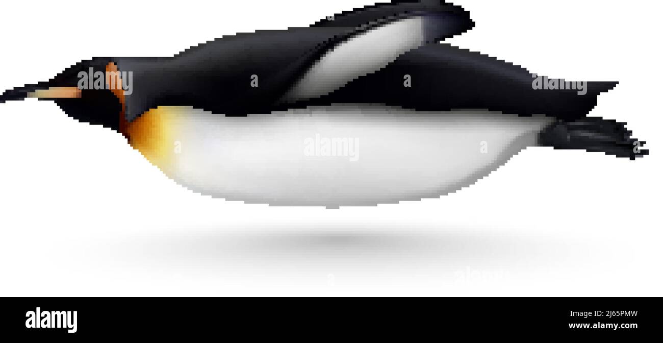 Fliegen oder Schwimmen schöne König Pinguin Nahaufnahme Seitenansicht realistisch Isoliertes Bild vor weißem Hintergrund Vektorgrafik Stock Vektor
