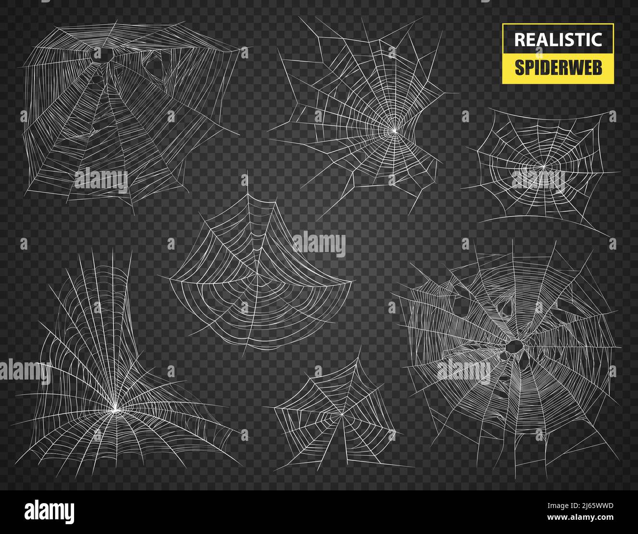Realistische Satz von weißen ausgefeilten Spinnweben verschiedener Formen und Größen auf dunkeltransparenten Hintergrund Vektorgrafik Stock Vektor