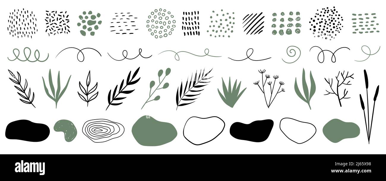 Handgezeichnete Pflanzen, organische Formen, Punkte, Linien. Vector Set aus minimalistisch trendigen abstrakten Naturelementen für grafisches Design Stock Vektor