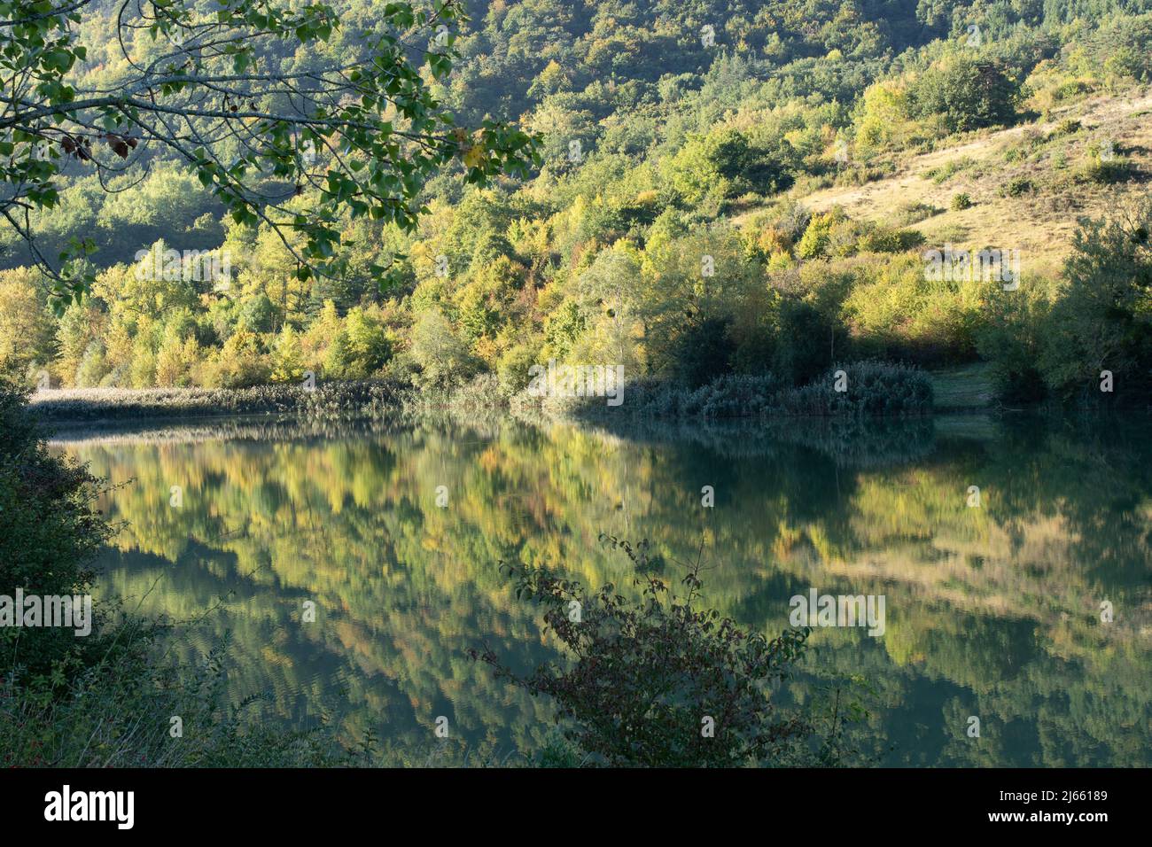 UN lac au Milieu de la foret avec des reflets dans l'Eau Stockfoto