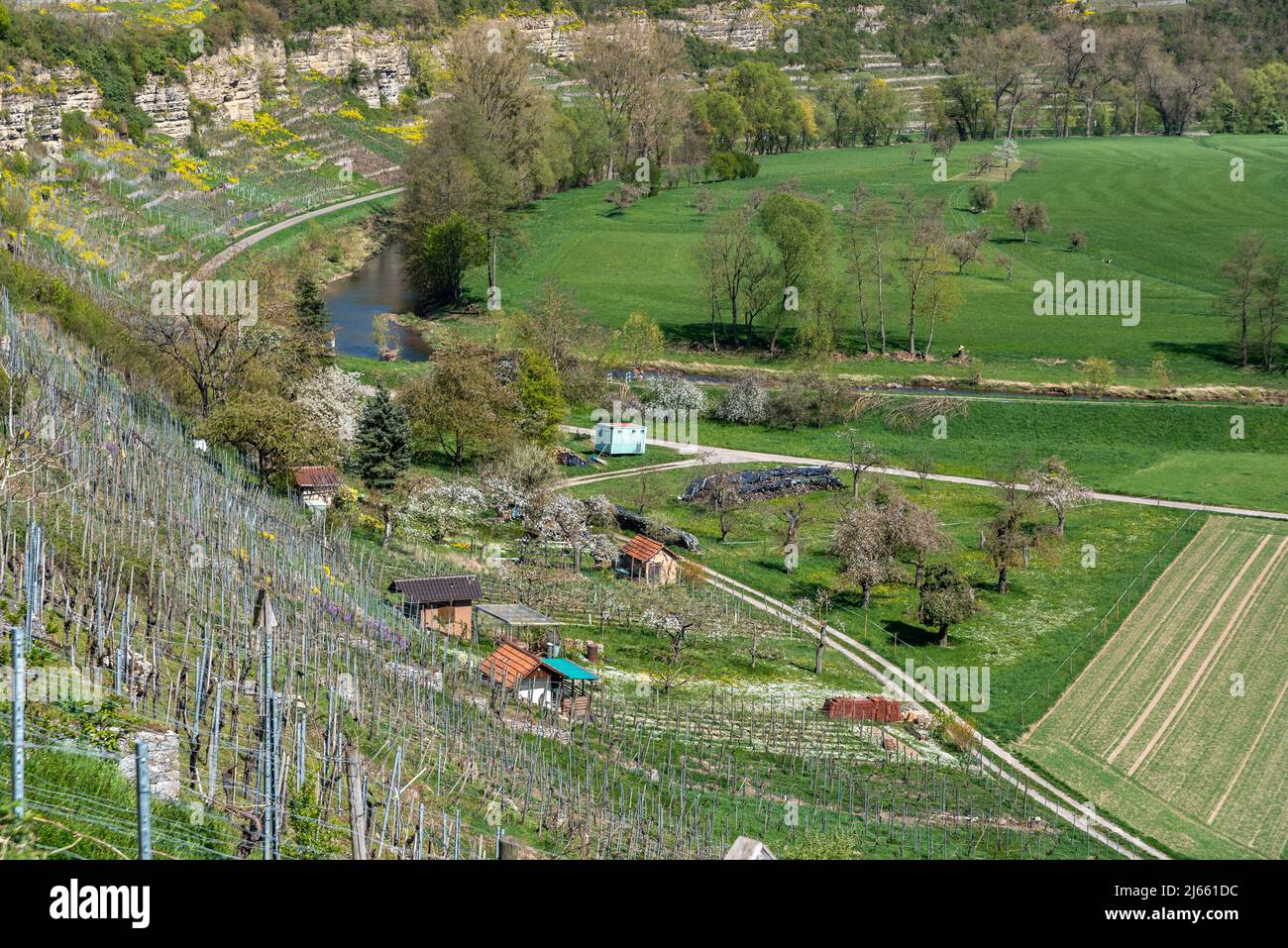 Weinberge an der Enz-Schleife mit dem Fluss Enz und den Felsengärten, Mühlhausen an der Enz, Kraichgau, Deutschland, Europa Stockfoto