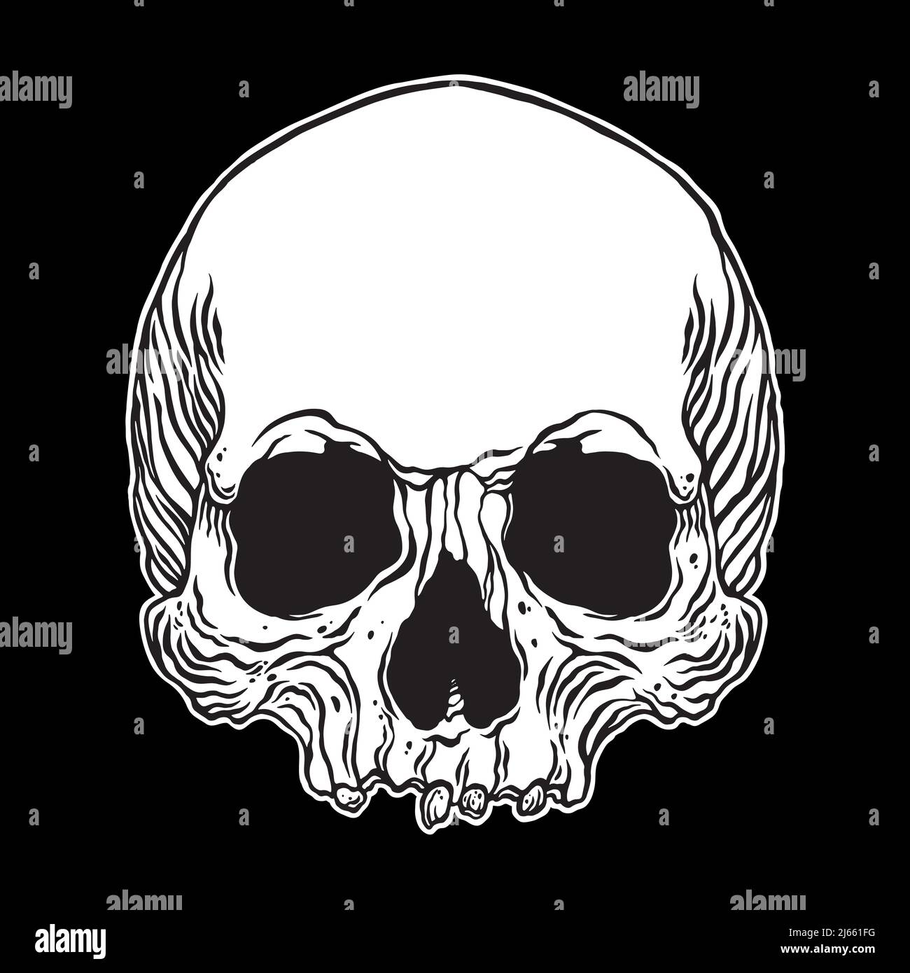 Anatomischer Menschlicher Schädel. Vektorgrafik handgezeichnete Illustration Stock Vektor