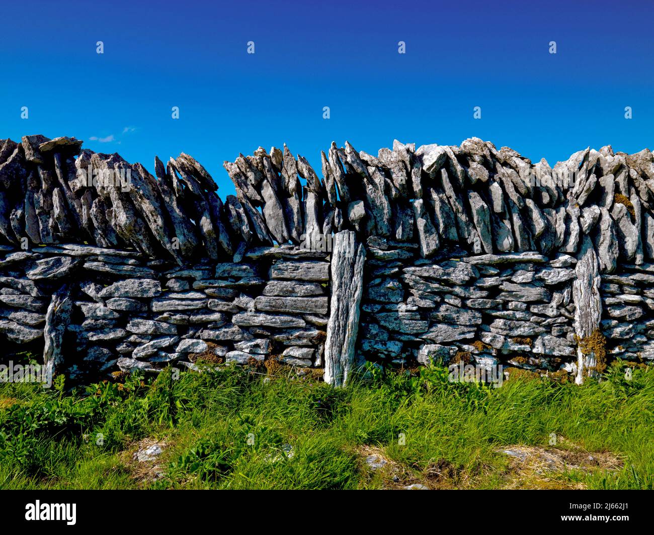 Steinmauer, The Burren, Moyeramoylan, County Clare, Irland Stockfoto