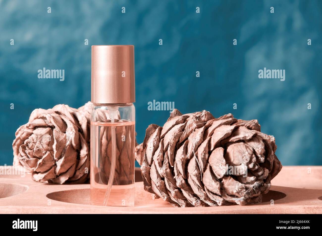 Damen Parfümflasche auf dem Display mit natürlichen Zapfen. Mode und Schönheit Hintergründe und Vorlagen Stockfoto