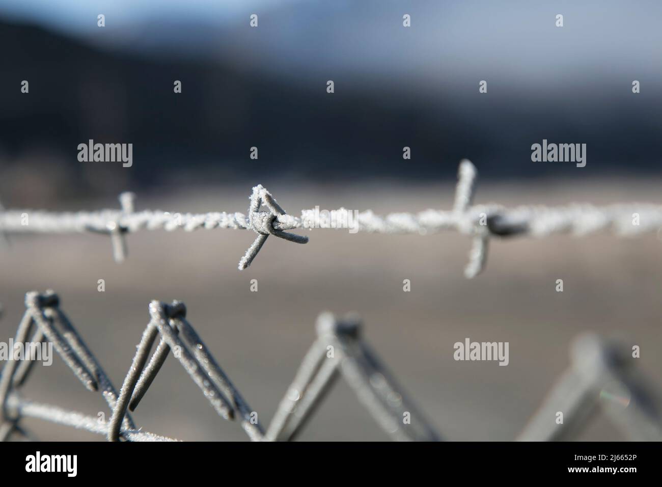 Gefrorene Verkabelung Stockfoto