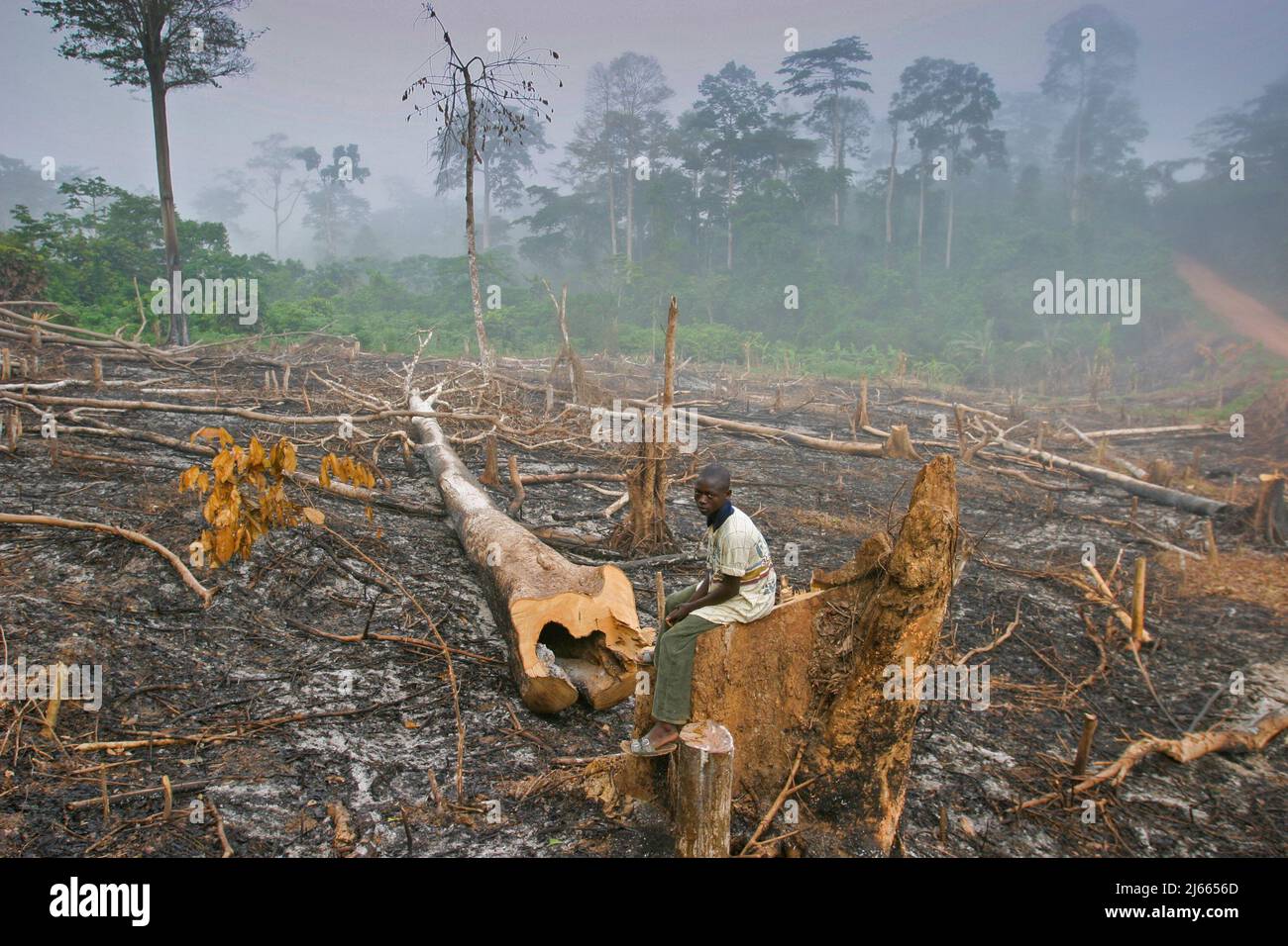 Zerstörung Des Regenwaldes Ursachen Und Folgen Ghana, Tarkwa Erosion des Regenwaldes durch Brandschlacht und Brandung