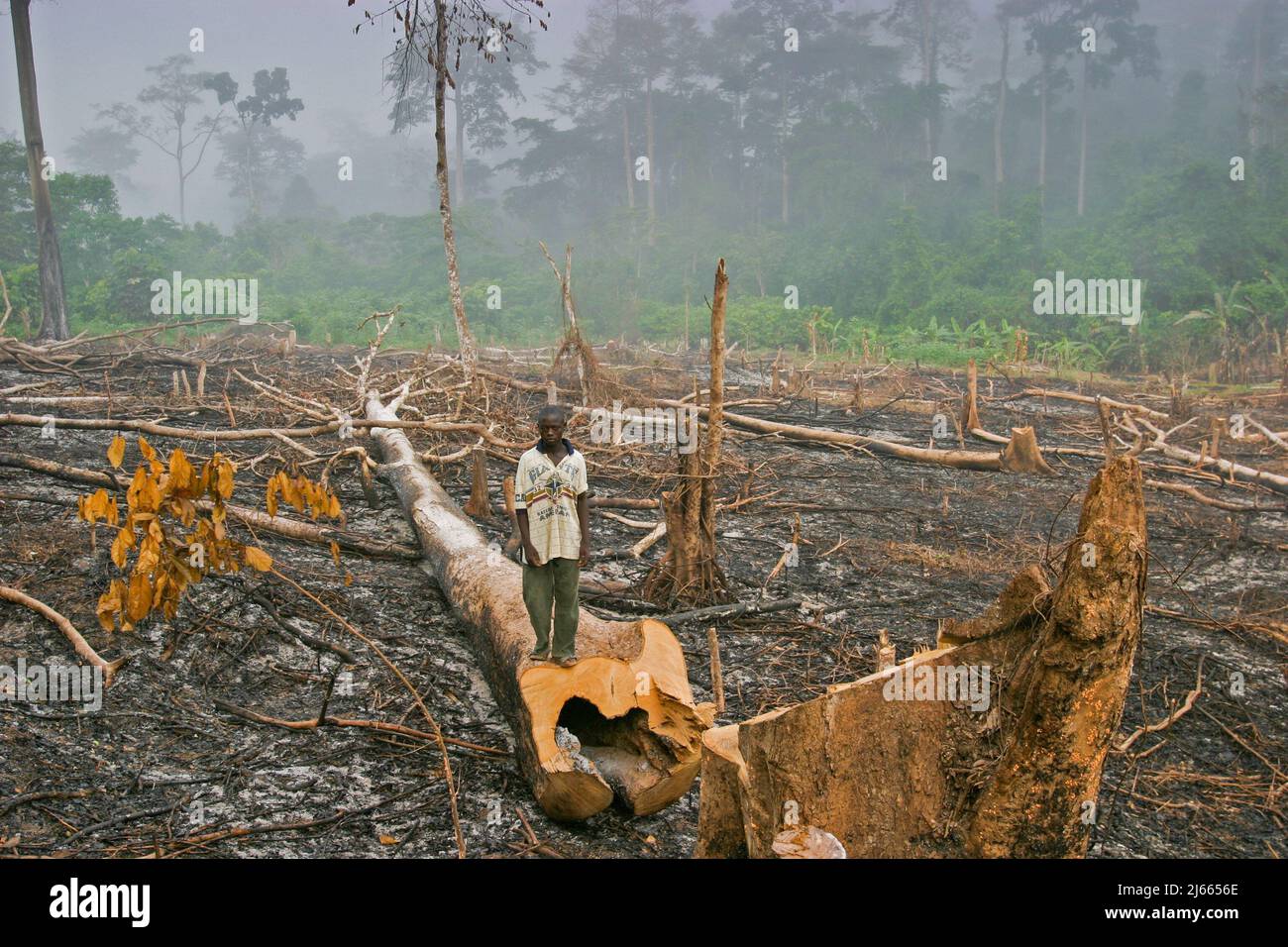 Zerstörung Des Regenwaldes Ursachen Und Folgen Ghana, Tarkwa Erosion des Regenwaldes durch Brandschlacht und Brandung