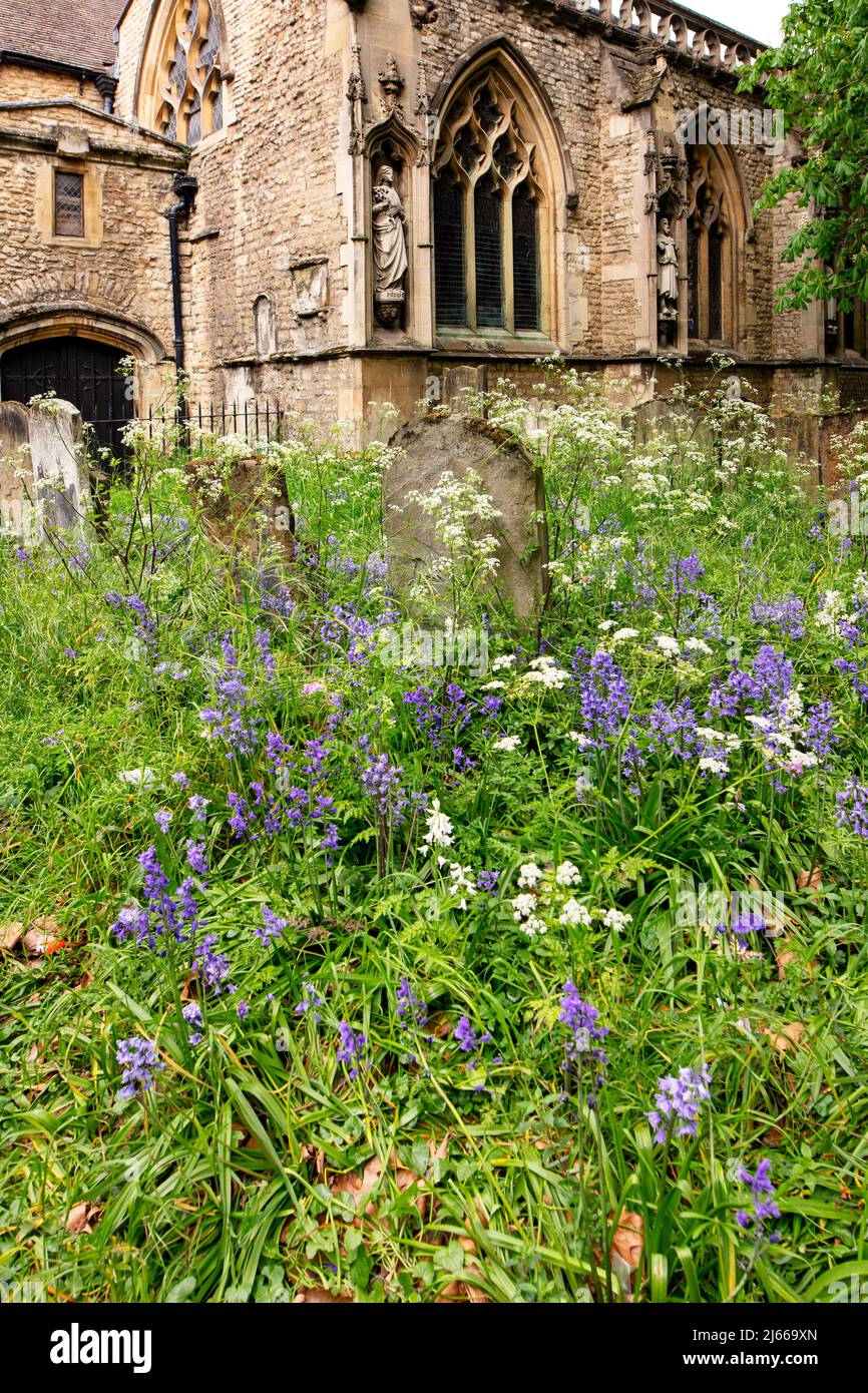 Church of St Mary Magdalen, St Giles' Oxford, Großbritannien; eine anglo-katholische Kirche im Zentrum von Oxford, die den Kirchhof zeigt Stockfoto