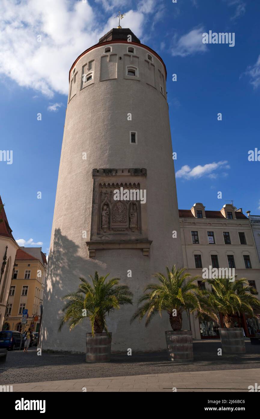 Der Dicke Turm oder auch Frauenturm, gebaut 1250, Sandsteinrelief mit Stadtwappen aus dem 15. Jhd. Görlitz, Oberlausitz, Sachsen, Deutschland Stockfoto