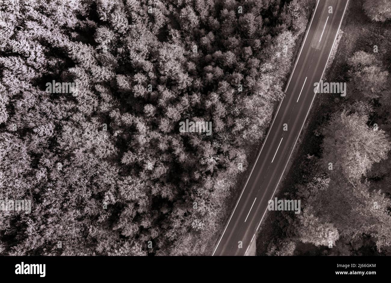 Drohnenaufnahme, Sepiafarben, herbstlich verfaerter Wald an der Bundesstrasse im Weissenbachtal zwischen Attersee und Trauntal, Salzkammergut Stockfoto