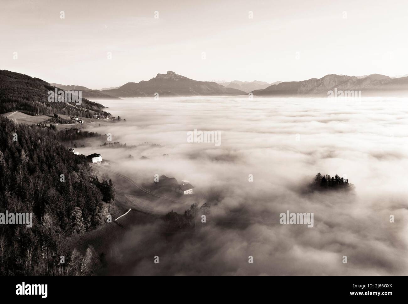 Drohnenaufnahme, Sepiafarben, herbstlich verfaerter Wald ragt aus dem Bodennebel, Inversionswetterlage, Mondsee, Mondseeland Salzkammergut Stockfoto