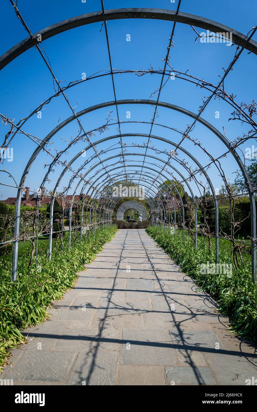 Tunnelstruktur für eine Kriechanlage, Wisley RHS Garden, Surrey, England, Großbritannien Stockfoto