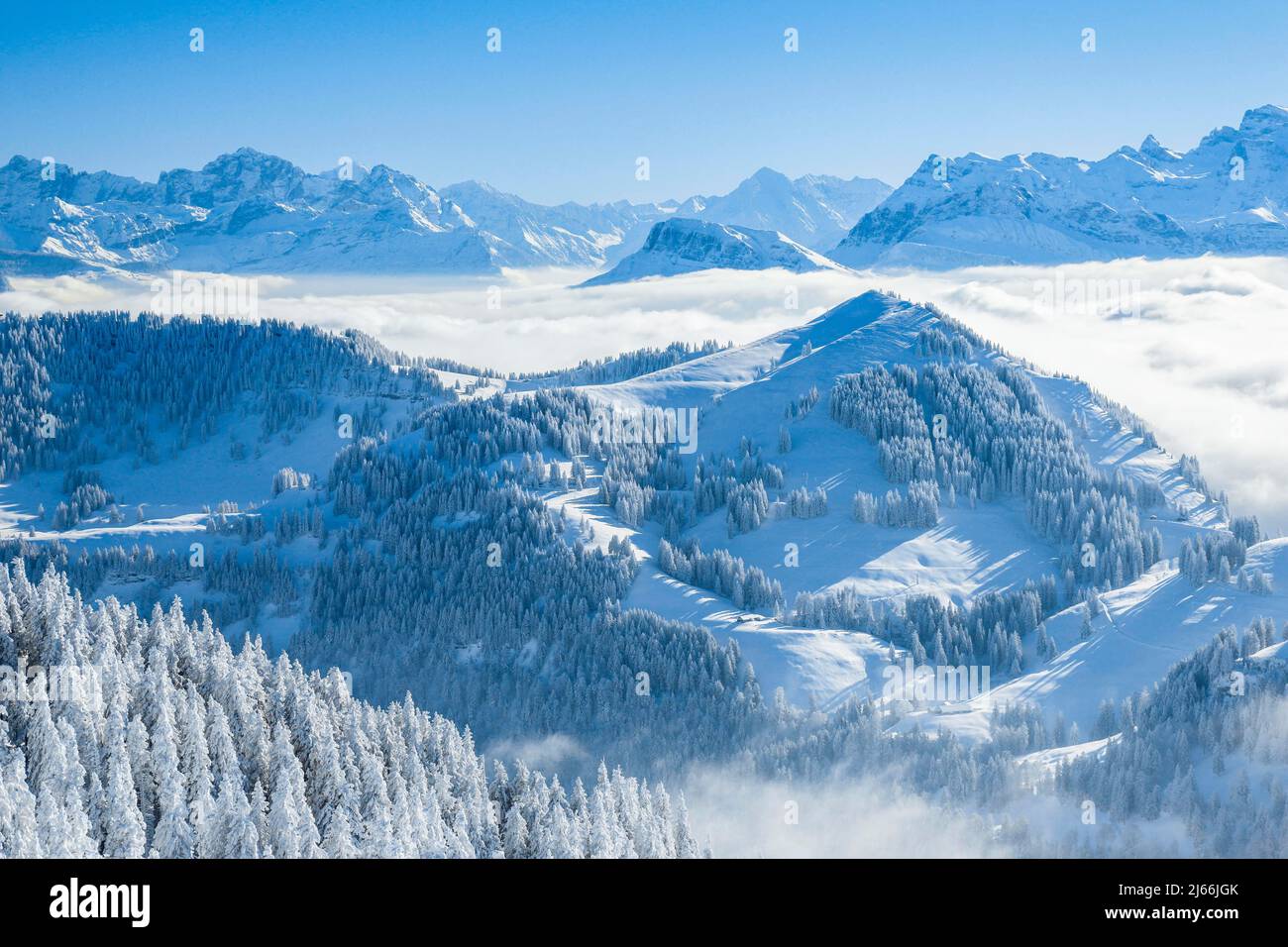 View of the Rigi with Nebelmeer sowie frisch verschneiten Fichten und den Unrer Alpen, Kanton Schwyz, Schweiz Stockfoto