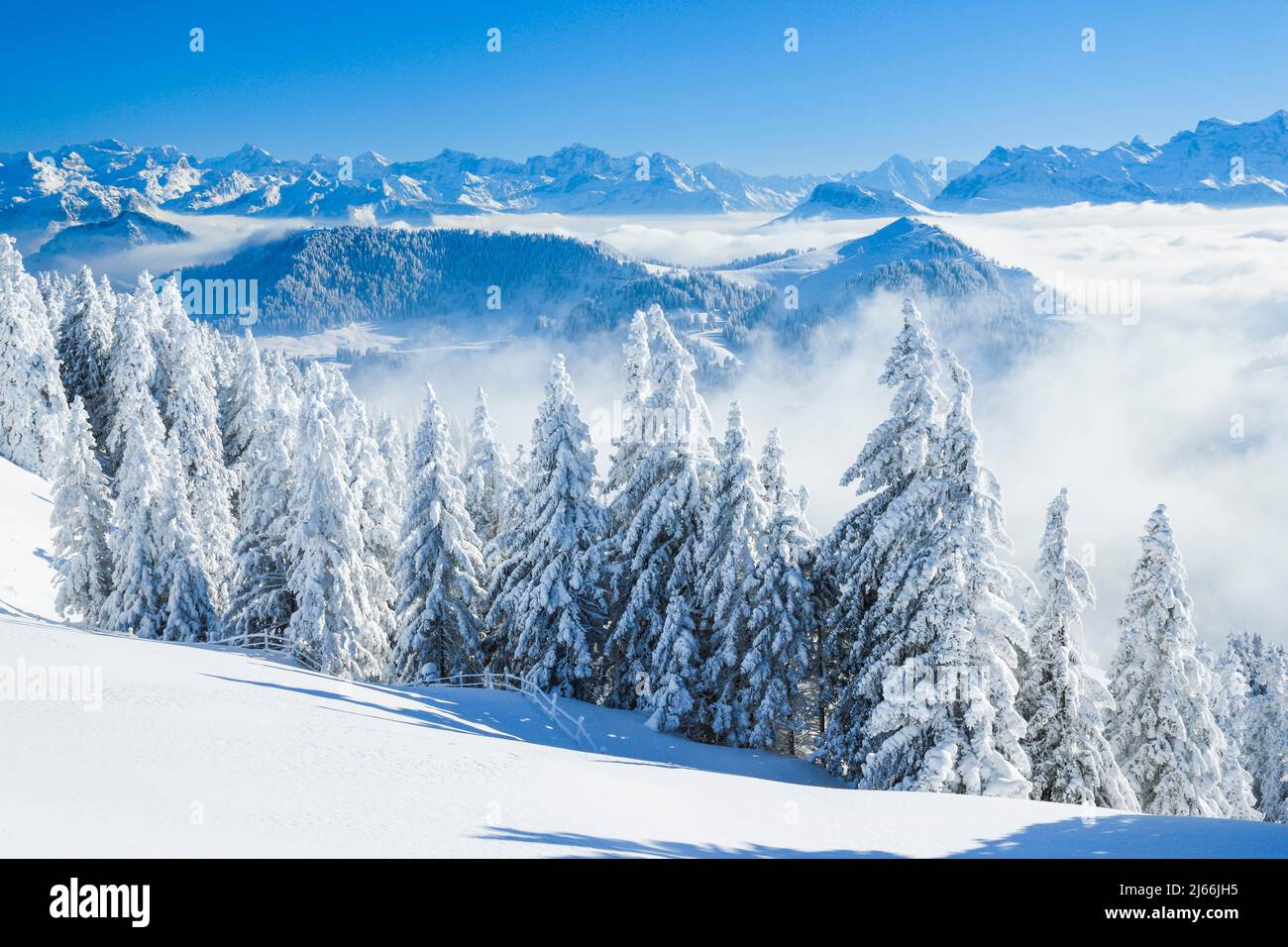 Aussicht von der Rigi, Schweiz Stockfoto