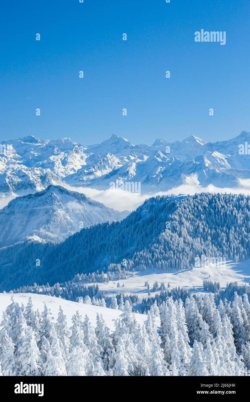 Aussicht von der Rigi, Schweiz Stockfoto
