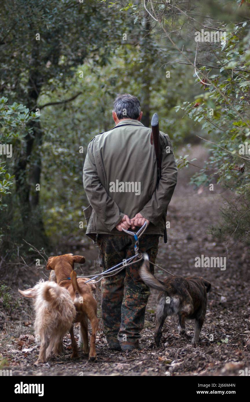 Murlo, Siena, Italien 24/01/2004: battuta di caccia al cinghiale - Wildschweinjagd ©Andrea Sabbadini Stockfoto