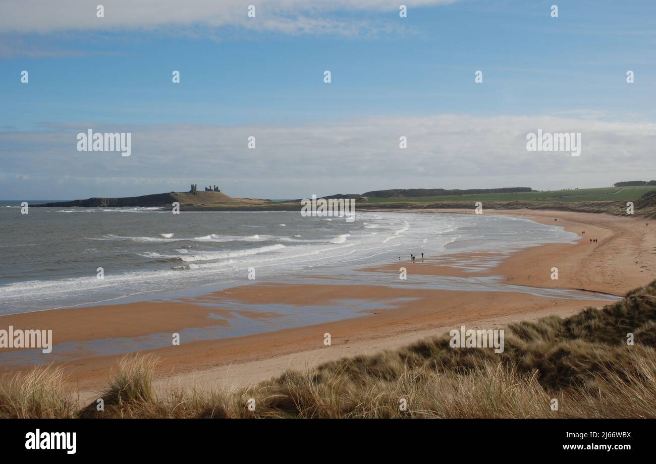 Landschaftsbild eines weiten, geschwungenen Strandes, der zu einem entfernten Dunstanburgh Castle auf seinem Basalt-Ausbiss auf der Skyline führt Stockfoto